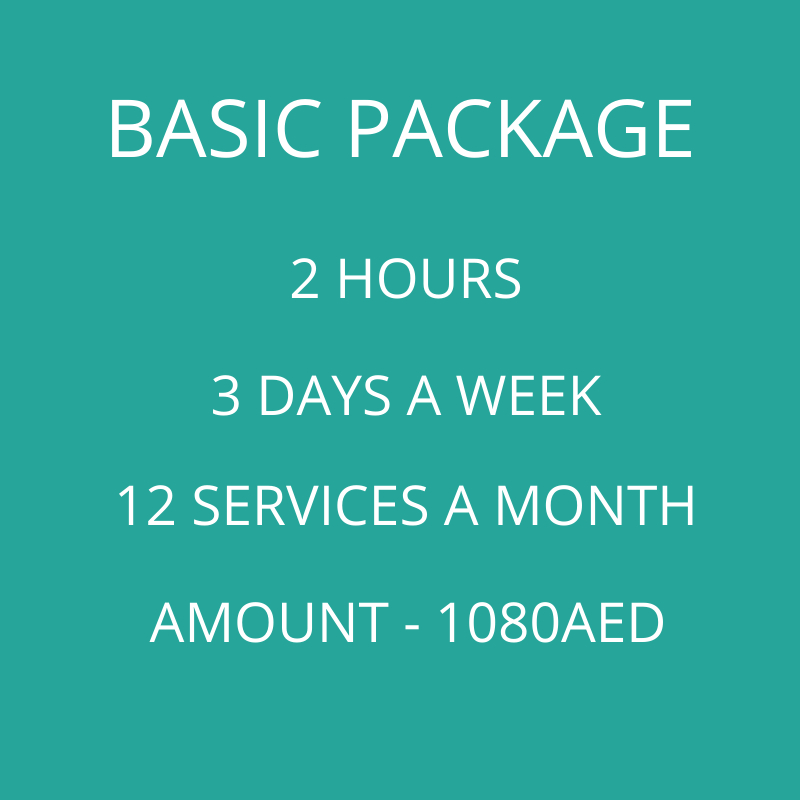 basic-monthly-cleaning-package