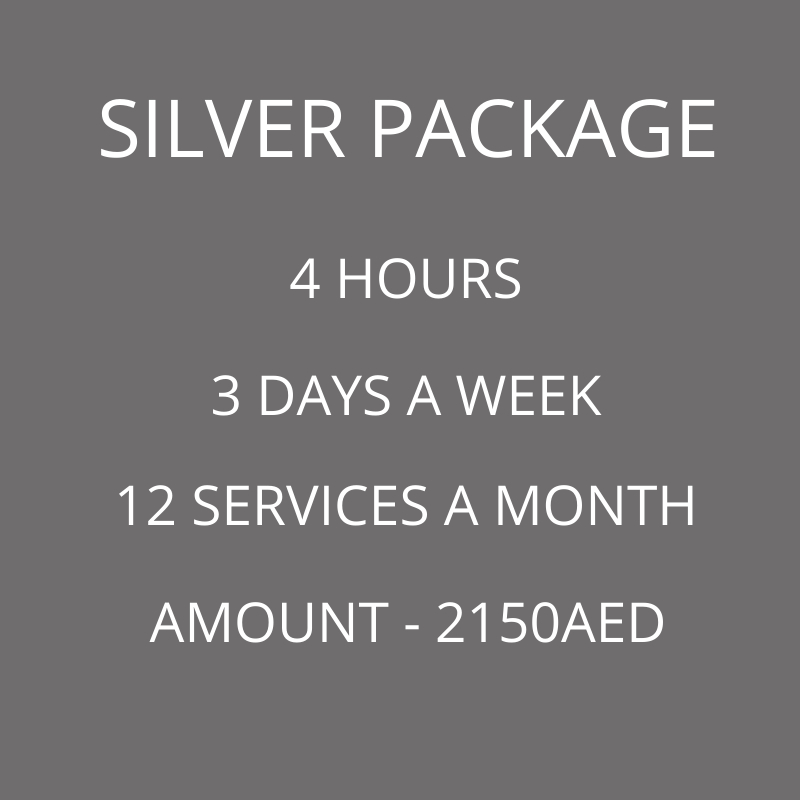 silver-monthly-cleaning-package