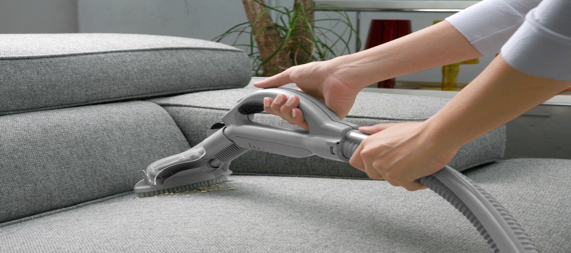 sofa-cleaning-