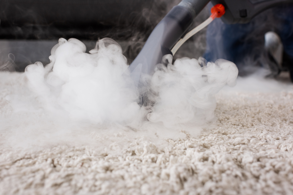 vacuum cleaner with hot steam on carpet at home