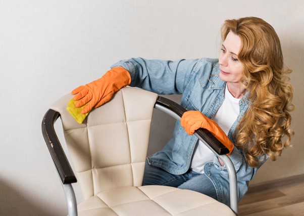 professional sofa cleaner